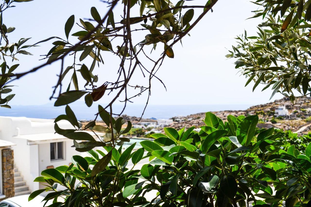 Elma'S Summerhouses Mykonos Town Exteriör bild